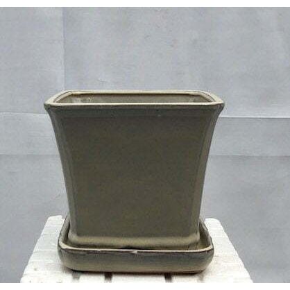 "Beige Ceramic Bonsai PotSquare With Attached Humidity / Drip Tray 7.5"" x 7....
