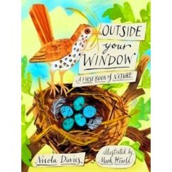 Outside Your Window
