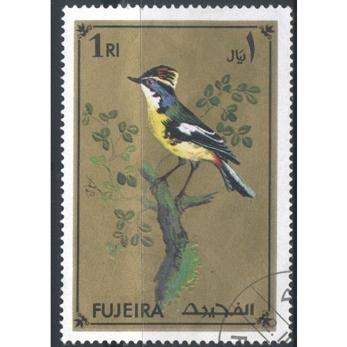 UAE stamps 1972 (Fujeira) 1r multi - Tropical Bird - used