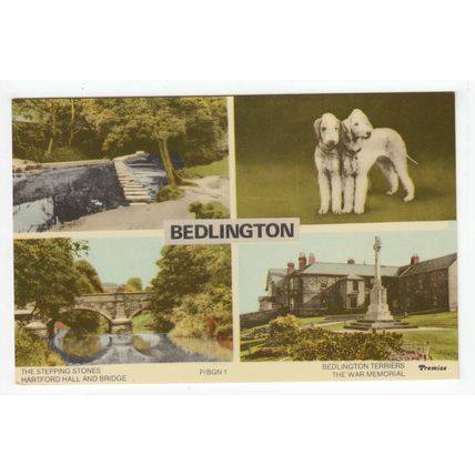 Multiview of Bedlington Postcard Northumberland