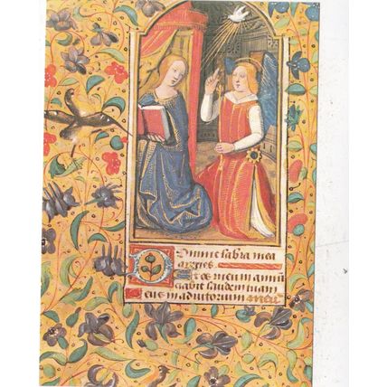 Christ Church Oxford Wake Collection Postcard unused VGC
