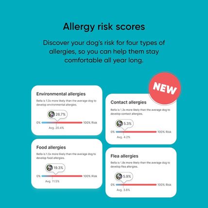 Embark Breed & Health Kit - Dog DNA Test - Discover Breed, Ancestry, Relative Fi