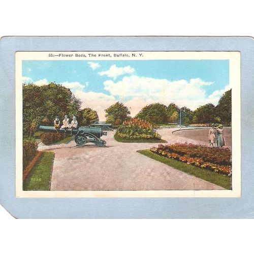 New York Buffalo Flower Beds The Front ny_box4~2531