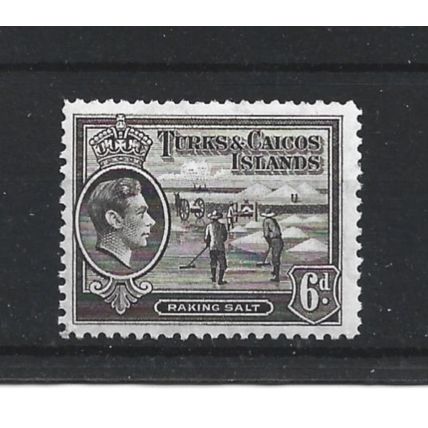 Turks&Caicos.SG201a 6d Raking Salt (Sepia).Mounted Mint.Aug24c