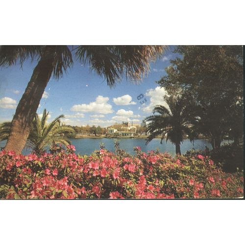 USA Postcard 1979 - Azaleas Beside Mirror Lake, St. Petersburg, Florida