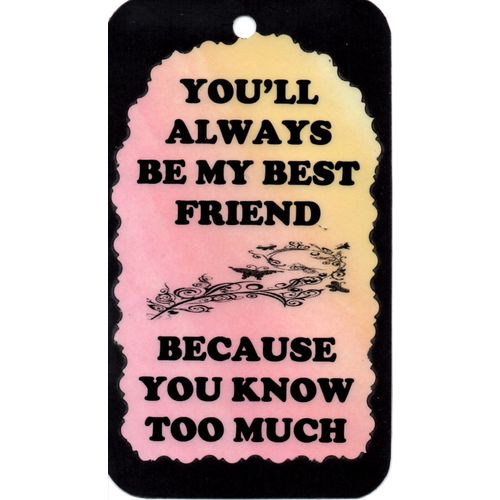 2077 Inspirational Sign You'll always be my Best Friend Saying Magnet Gift