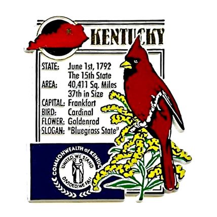 Kentucky The Bluegrass State Montage Fridge Magnet