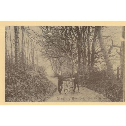 Stagbury Beeches Chipstead Bicycles Surrey Postcard