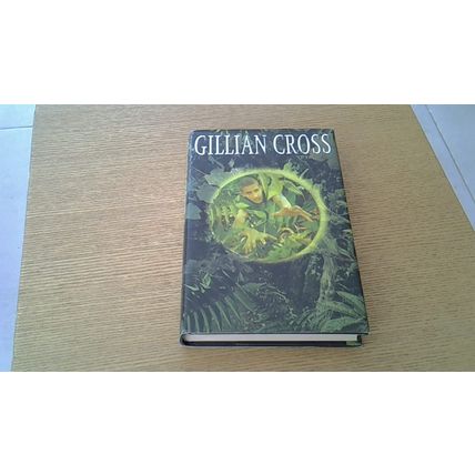 The Dark Ground. Gillian Cross (Hardback) 2003
