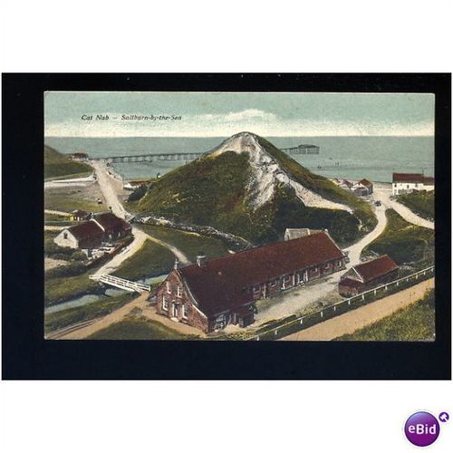 Yorkshire SALTBURN Cat Nab Postcard
