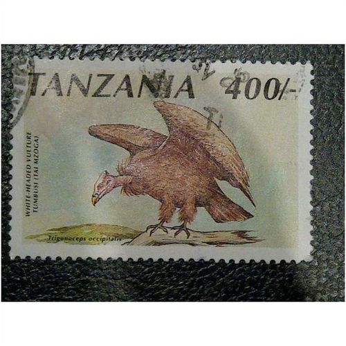 Tanzania QE11 1991 Birds 400s White Headed Vulture SG 814b Used