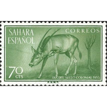 SPANISH SAHARA, MAMMAL, Oryx dammah, green-grey 1955, 70c