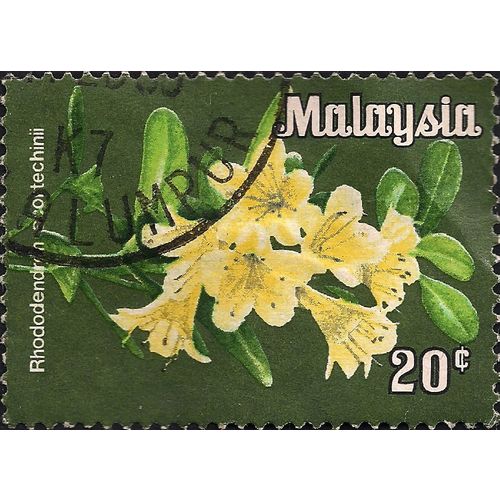 MALAYSIA, FLOWERS, Rhododendron scortechinii, 1979, 20c