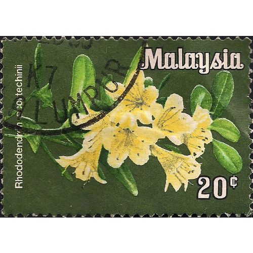 MALAYSIA, FLOWERS, Rhododendron scortechinii, 1979, 20c