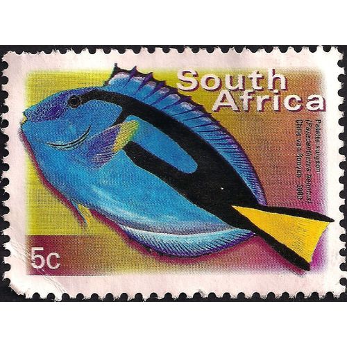 SOUTH AFRICA, FISH, Palette Surgeon, 2000, 5c