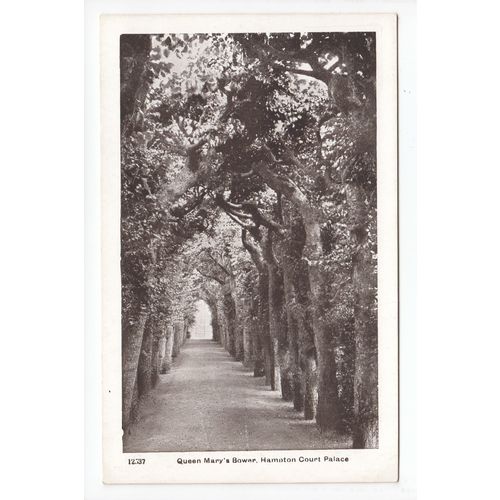 Queen Mary's Bower Hampton Court Palace Postcard 12537