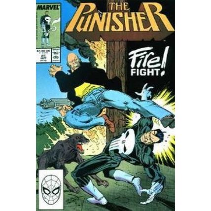 Punisher (Vol 1) # 023 NM MODERN AGE COMICS