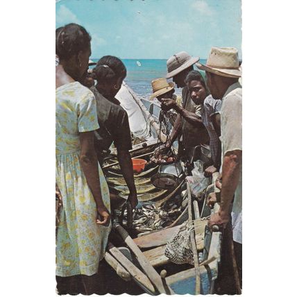 Caribbean Native Fish Market Postcard used pinhole