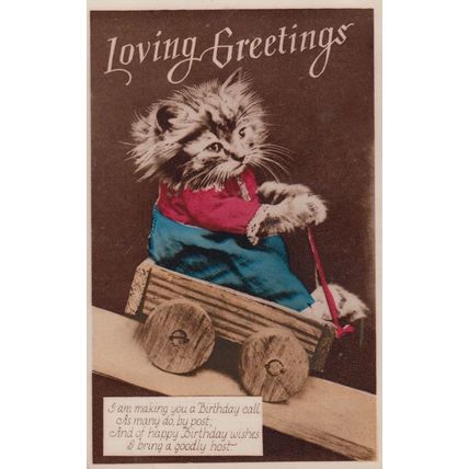 Cat In Truck Unique Old Transportation Car Loving Greetings RPC Old Postcard
