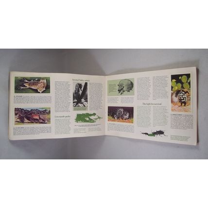 Brooke Bond Tea Card Album: 1976 Wonders of Wildlife, With All Cards
