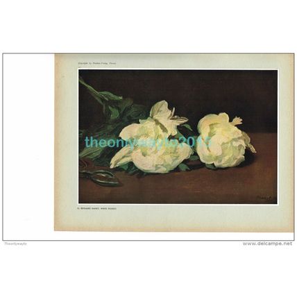 White Peonies, Edouard Manet , Book Illustration, 1937