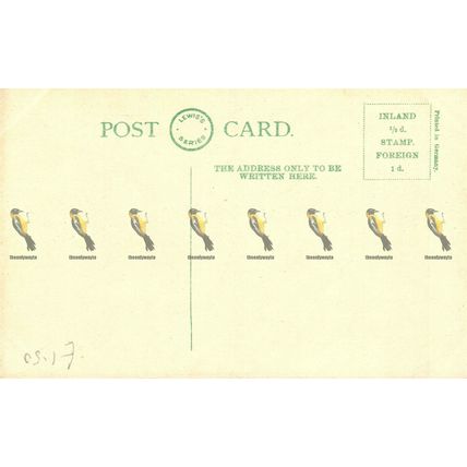 Cathedral, Chester, Cheshire, Lewis's Series German Postcard, 1900s