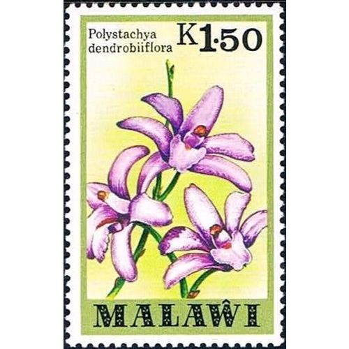 Malawi 1979 K1.50 Polystachya Dendrobiiflora Orchid Unmounted Mint SG 589 Stamp