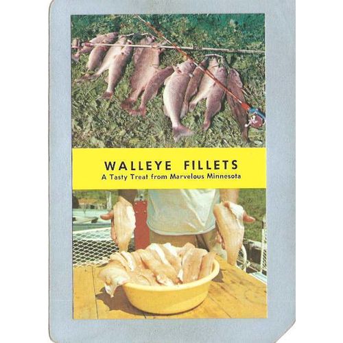 MN GEN Postcard Walleye Fillets A Tasty Treat From Marvelous Minnesota sta~7