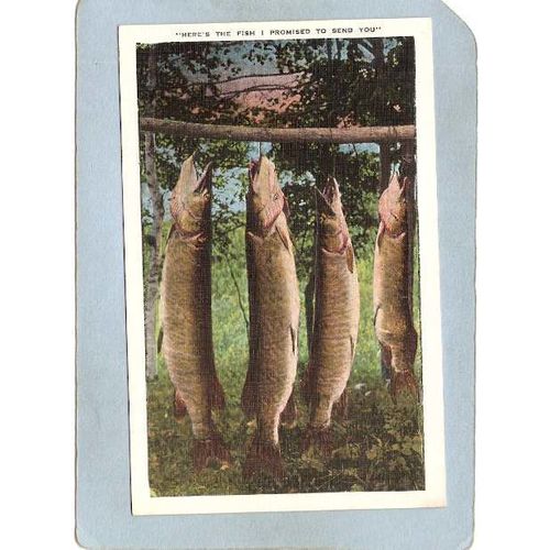 MN Alexandria Postcard Here's The Fish I promised To Send You state_box5~14