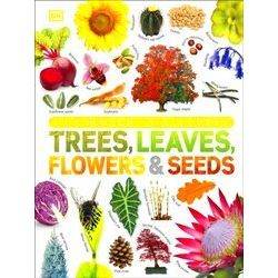 Trees, Leaves, Flowers & Seeds