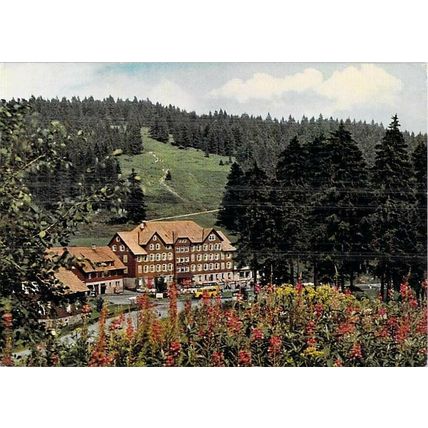 Hotel Ruhestein Obertal Germany Postcard posted 1962 VGC