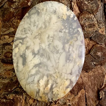 Plume Flower Agate Oval Cabochon Natural Polished Crystal Cab 2"x1.5" 12g 60 CTS