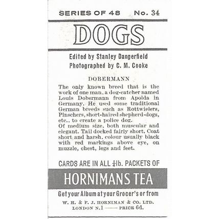 Dogs 1961 Hornimans Tea Card 34 - Dobermann