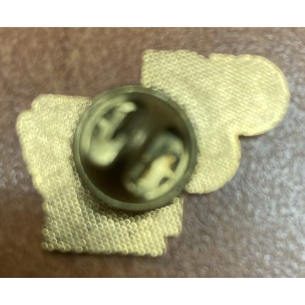 AAC Association Of Arkansas Counties White Black Gold Lapel Pin