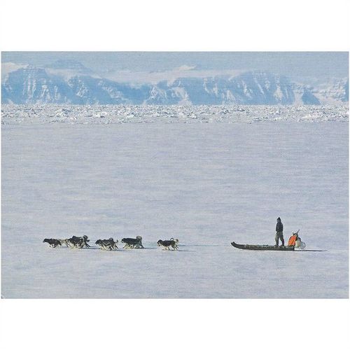 BET.G506: Dogsledding in West Greenland.
