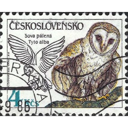 CZECHOSLOVAKIA, BIRD, Barn Owl, Tyto alba, brown 1986, 4Kcs
