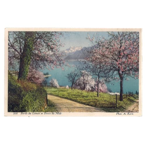 BORDS DU LEMAN ET DENTS DU MIDI, SWITZERLAND unused vintage postcard =