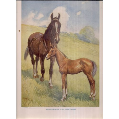 MOTHER & FOUL HORSES. . illustration by Albert Kaye 335 x 240 mm book plate