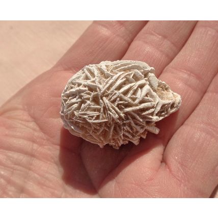 E Desert Rose Gypsum 1.625 Inch Raw Rough Stone Crystal Metaphysical