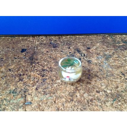 Glass Fish Bowl with 'White fish' 1:12th scale miniature