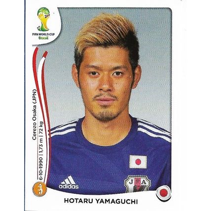 Panini Fifa World Cup 2014 Sticker No. 254