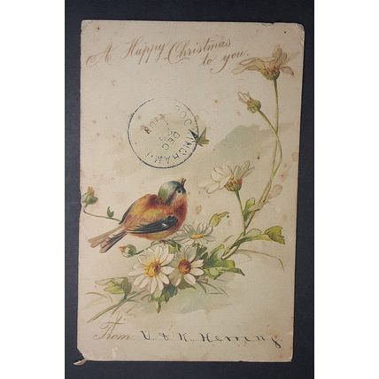 1903 Postcard Christmas Greeting Bird Antique Turn of Century Vertical Post Card