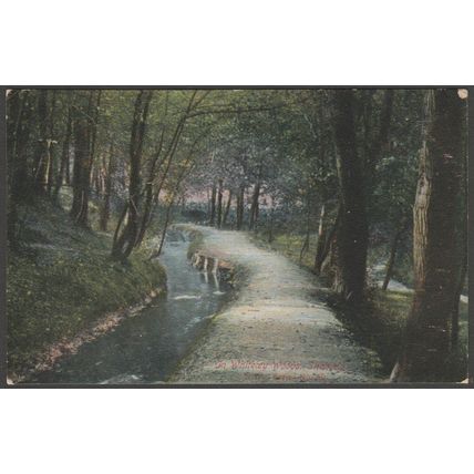 In Whiteley Woods, Sheffield, Yorkshire, c.1905 - Scott Russell Postcard