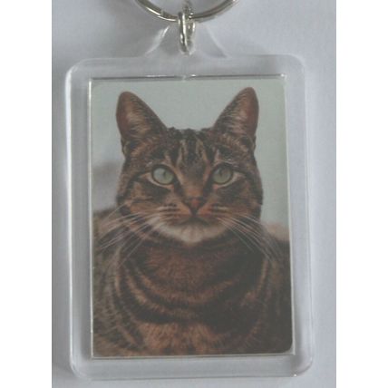CAT BREED KEY RINGS QUALITY ACRYLIC DOUBLE SIDED PHOTO KEY RINGS 8 BREEDS