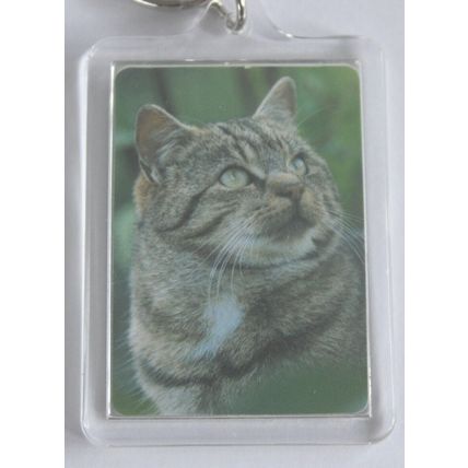 CAT BREED KEY RINGS QUALITY ACRYLIC DOUBLE SIDED PHOTO KEY RINGS 8 BREEDS