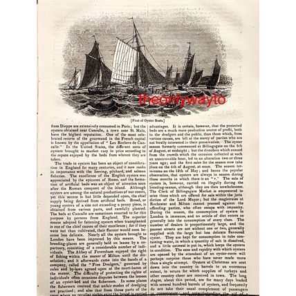 Fleet Of Oyster Boats, Cancalle, France, Book Illustration (Print), 1837