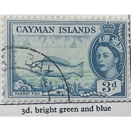Cayman Islands QEII 1955 3d Bright Green & Blue Parrotfish Used SG 154 stamp