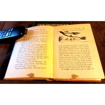 The Adventures Of A Brownie 1926 By Dinah Marie Mulock Good Shape