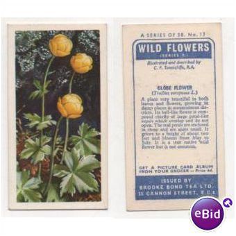 Vintage 1959 Brooke Bond Tea card WILD FLOWERS series 2 no.13 Globe Flower