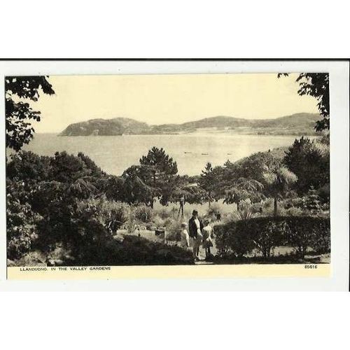 Wales LLANDUDNO Valley Gardens Postcard by Photochrom (85616)